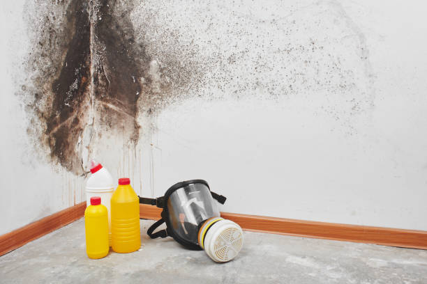 Best Biohazard Mold Removal  in Hilltop, MN